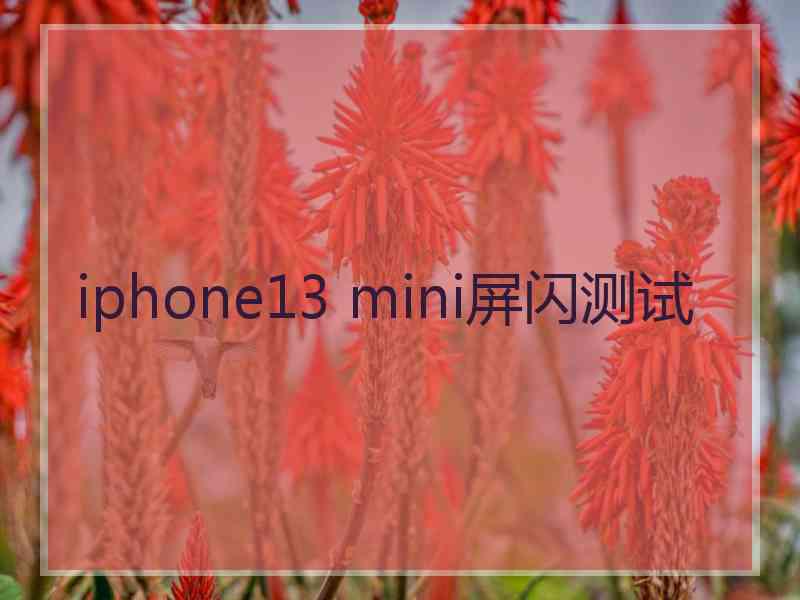 iphone13 mini屏闪测试