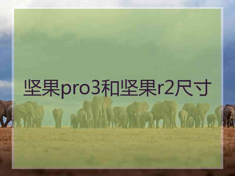 坚果pro3和坚果r2尺寸