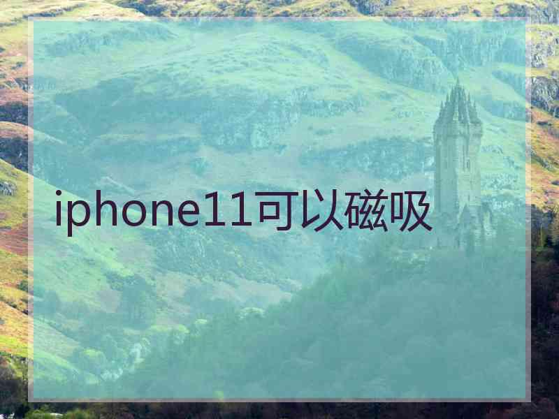 iphone11可以磁吸