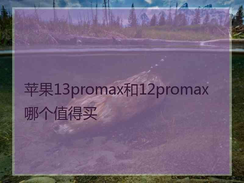 苹果13promax和12promax哪个值得买