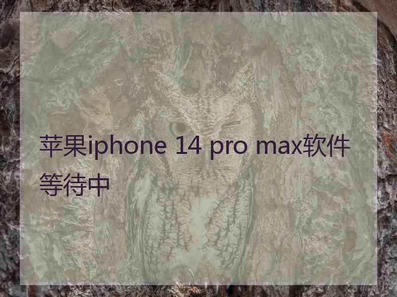 苹果iphone 14 pro max软件等待中