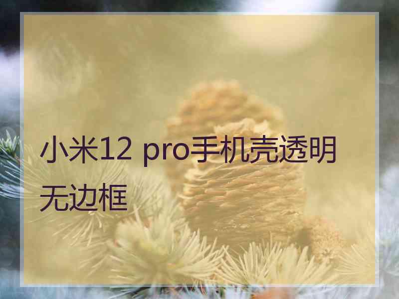 小米12 pro手机壳透明无边框