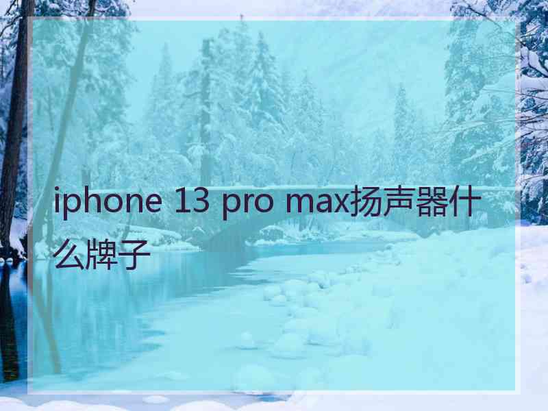 iphone 13 pro max扬声器什么牌子