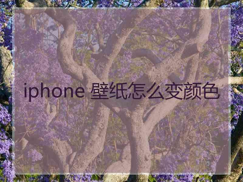 iphone 壁纸怎么变颜色