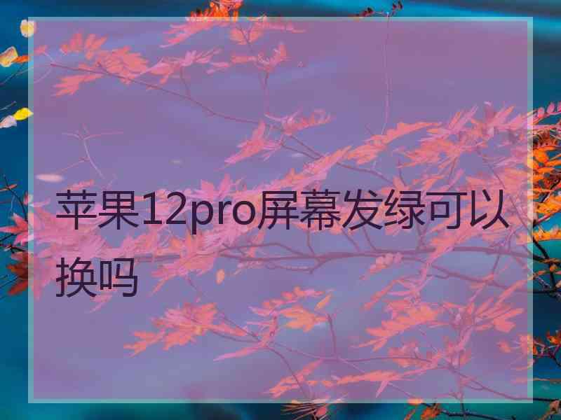 苹果12pro屏幕发绿可以换吗