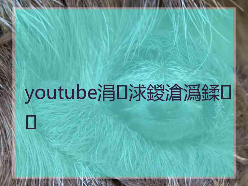 youtube涓浗鍐滄潙鍒