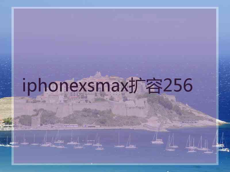 iphonexsmax扩容256