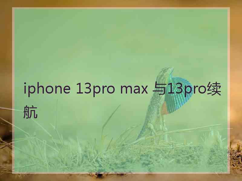 iphone 13pro max 与13pro续航