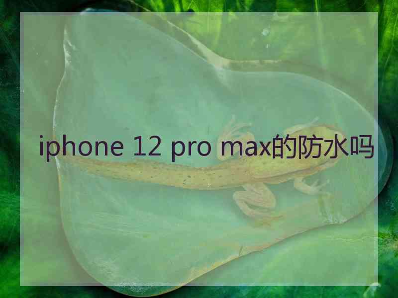 iphone 12 pro max的防水吗