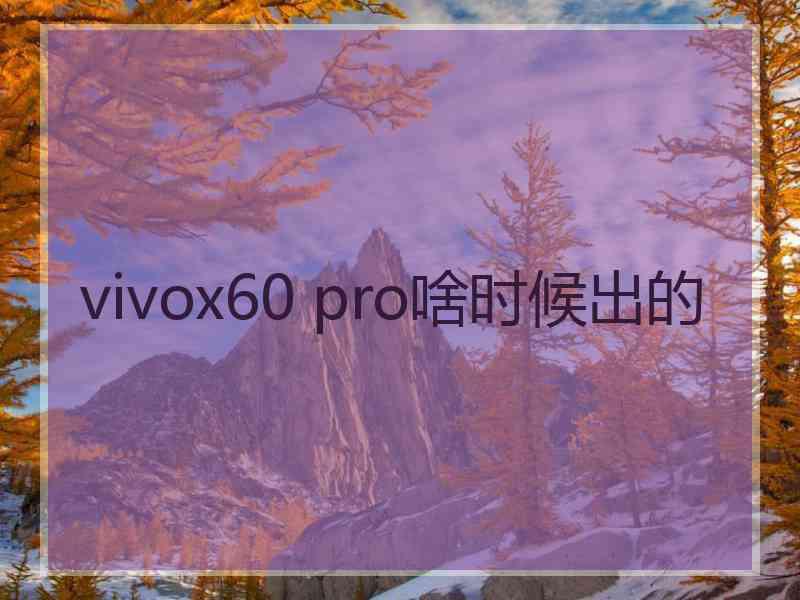 vivox60 pro啥时候出的