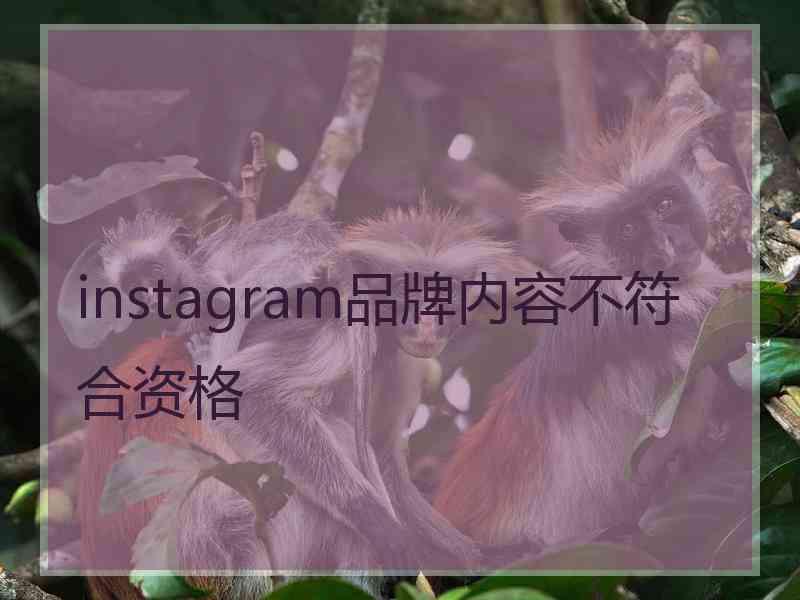 instagram品牌内容不符合资格