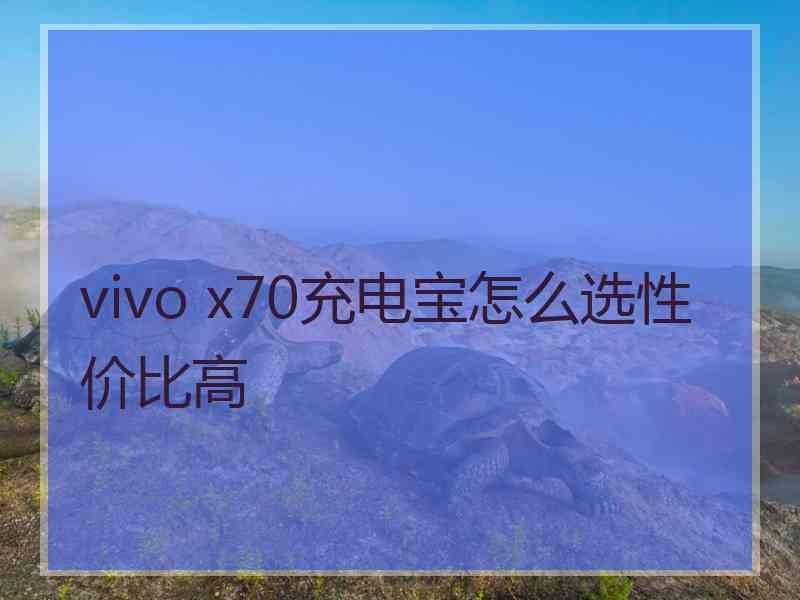 vivo x70充电宝怎么选性价比高