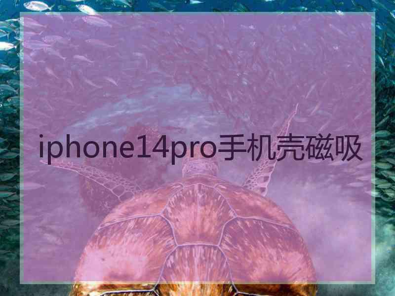 iphone14pro手机壳磁吸