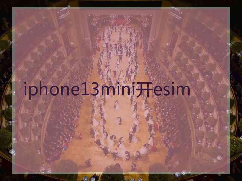 iphone13mini开esim