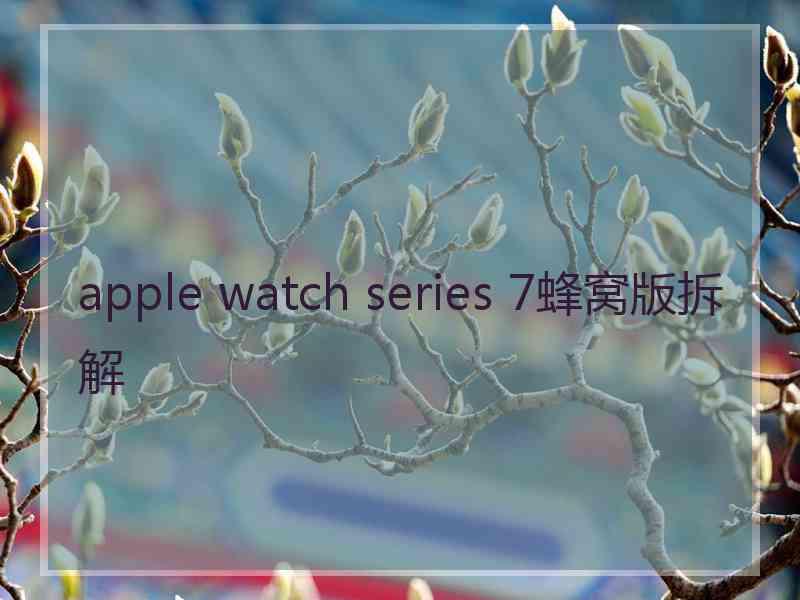 apple watch series 7蜂窝版拆解