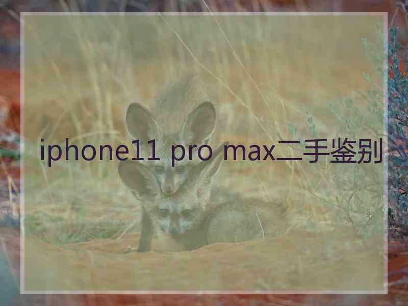 iphone11 pro max二手鉴别