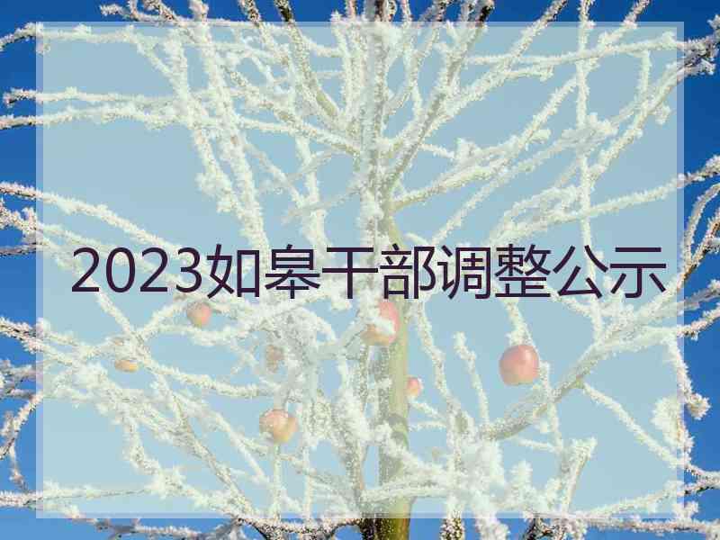 2023如皋干部调整公示