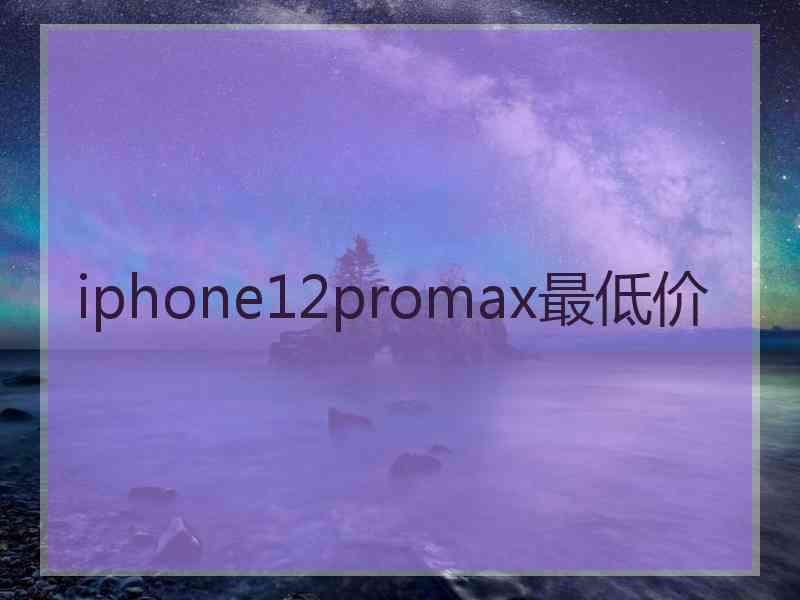 iphone12promax最低价