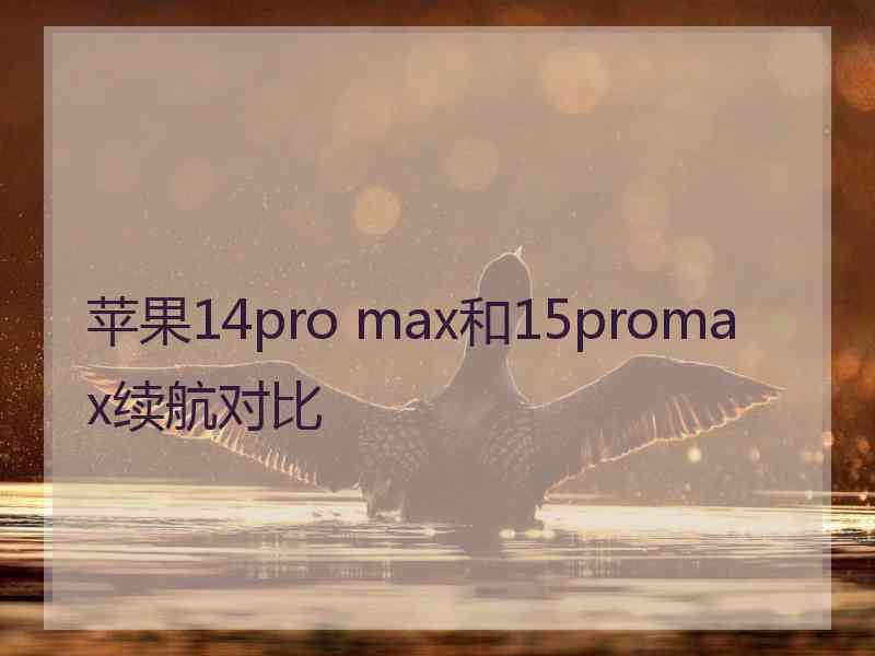 苹果14pro max和15promax续航对比