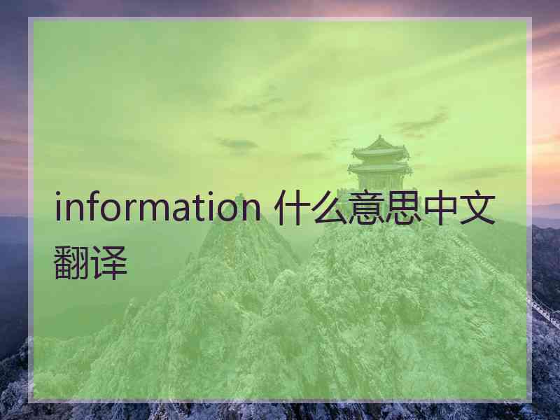 information 什么意思中文翻译