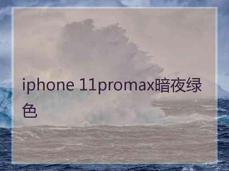 iphone 11promax暗夜绿色