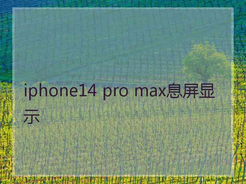 iphone14 pro max息屏显示