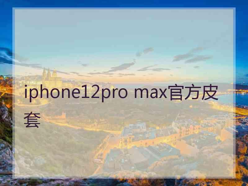 iphone12pro max官方皮套