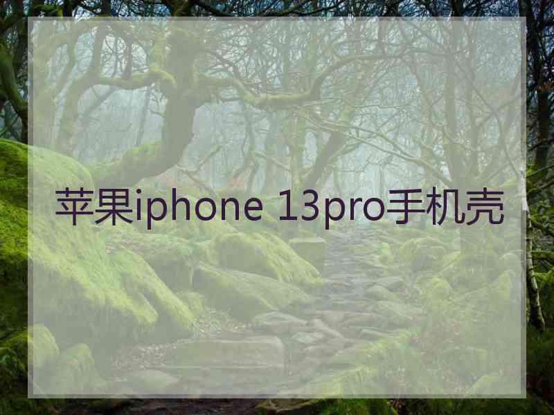 苹果iphone 13pro手机壳