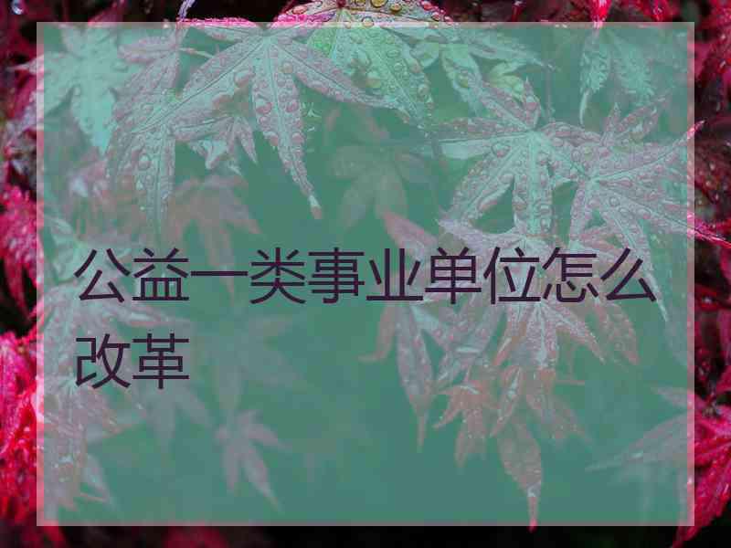 公益一类事业单位怎么改革