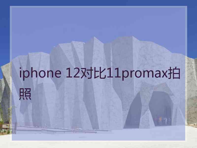 iphone 12对比11promax拍照