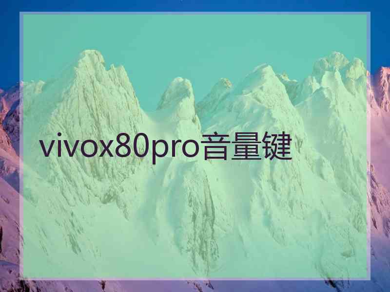 vivox80pro音量键