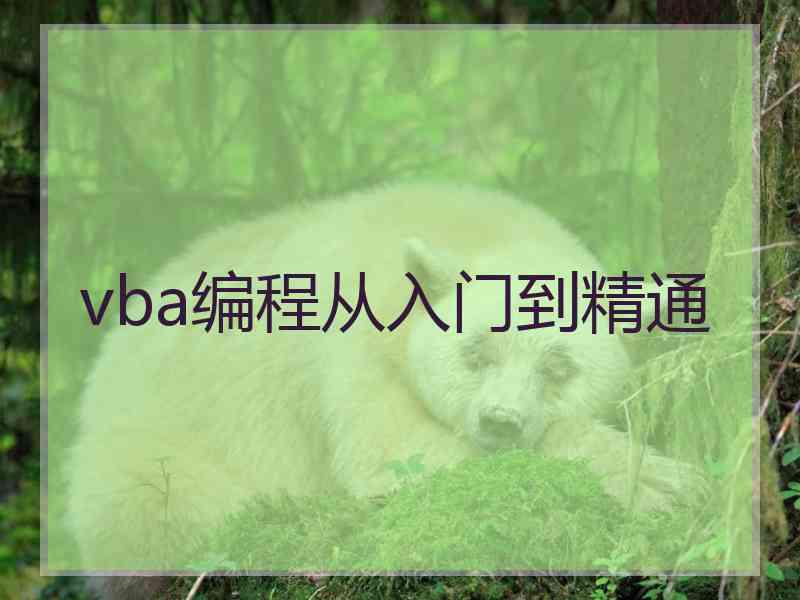 vba编程从入门到精通