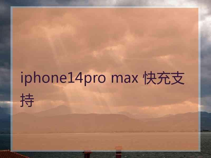 iphone14pro max 快充支持