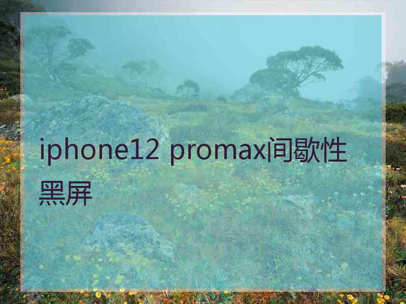 iphone12 promax间歇性黑屏