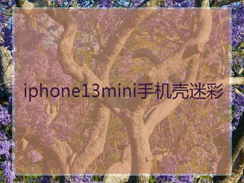 iphone13mini手机壳迷彩