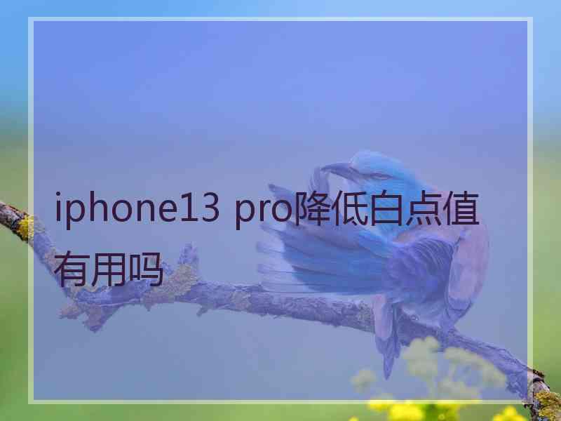 iphone13 pro降低白点值有用吗