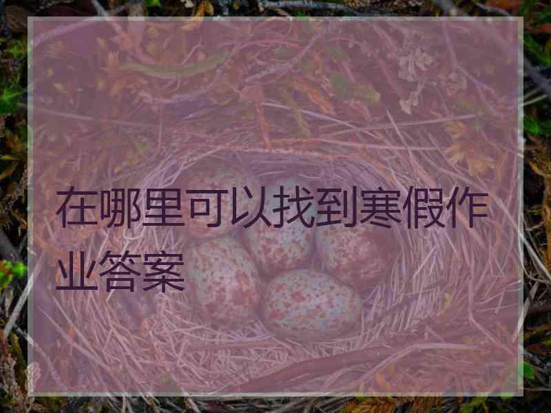 在哪里可以找到寒假作业答案