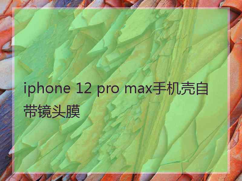 iphone 12 pro max手机壳自带镜头膜