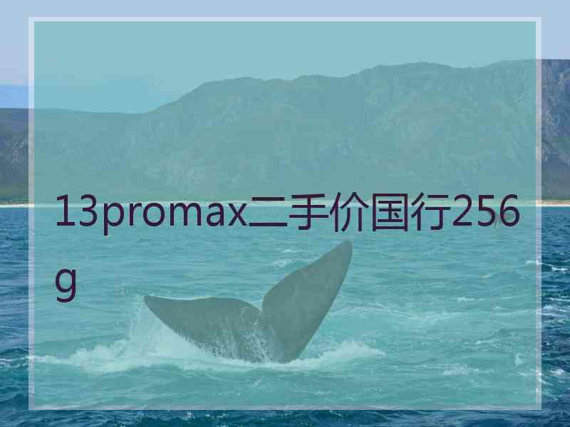 13promax二手价国行256g