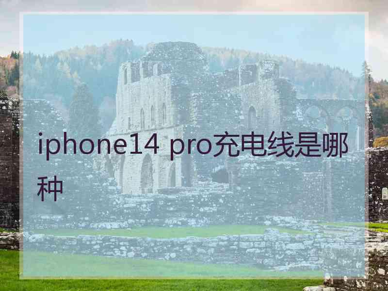 iphone14 pro充电线是哪种