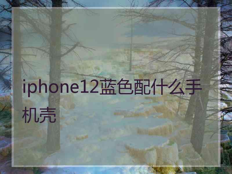 iphone12蓝色配什么手机壳