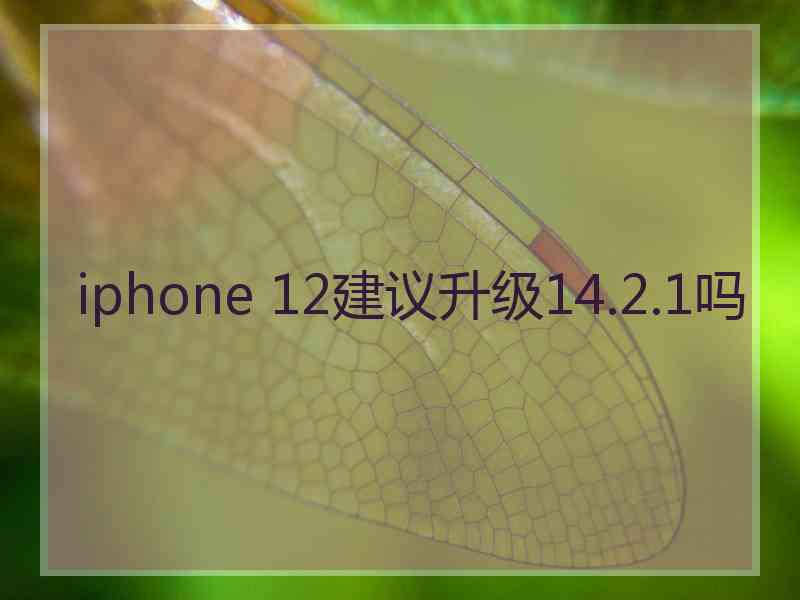 iphone 12建议升级14.2.1吗