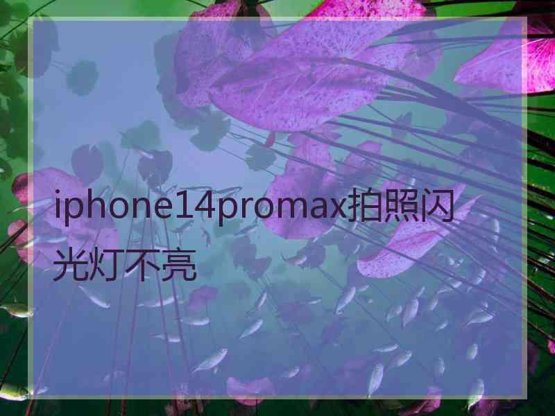 iphone14promax拍照闪光灯不亮