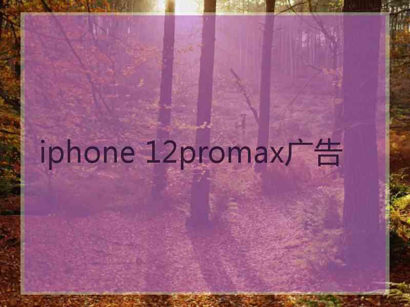 iphone 12promax广告