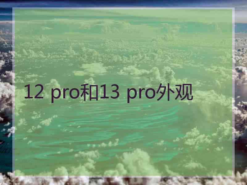 12 pro和13 pro外观