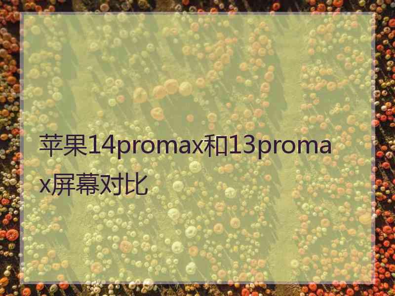 苹果14promax和13promax屏幕对比