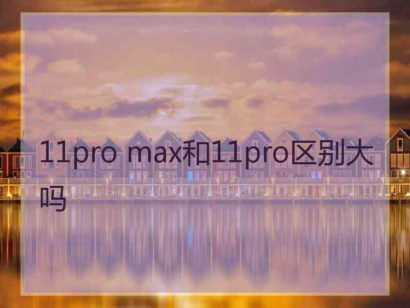 11pro max和11pro区别大吗