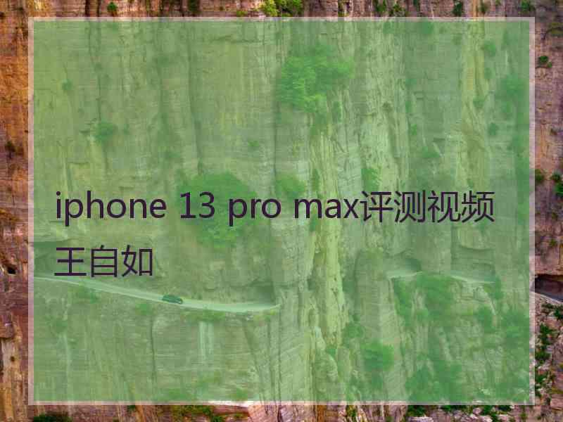 iphone 13 pro max评测视频王自如