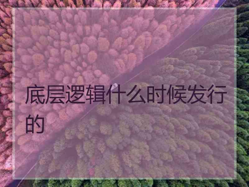 底层逻辑什么时候发行的