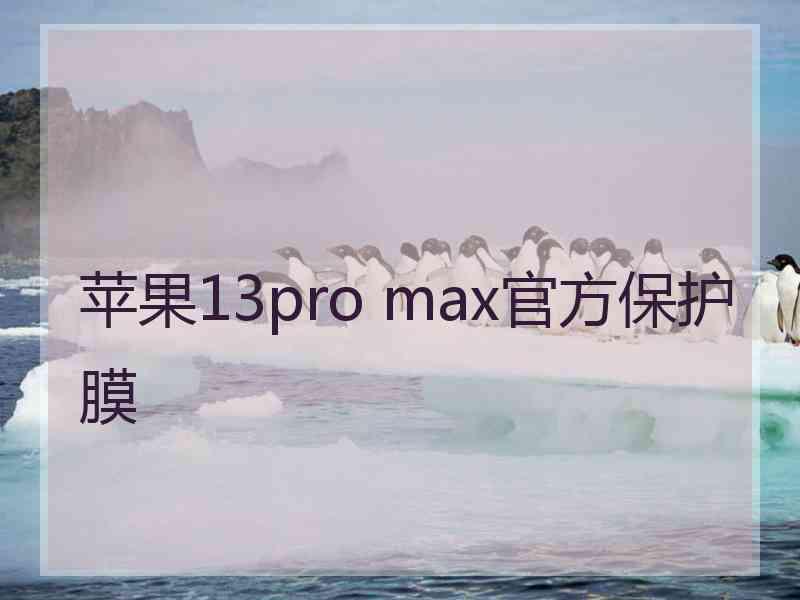 苹果13pro max官方保护膜